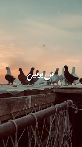 والناس دي صعب صعب يغيروني👌 اغنية ضي  ضي  محمد منير  اغنية فيلم ضي #فيلم_ضي #محمد_منير #الكينج #محمد_منير_الكينج⁩