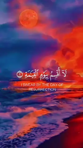 #اللهم_صلي_على_محمد_وأل_محمد❤ #لا_اله_الا_الله_محمد_رسول_الله_❤️ #استغفرالله_العظيم_واتوب_اليه #سبحان_الله_الحمدلله_لااله_الا_الله #quran_alkarim❤️🕊️ 