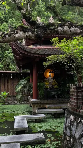 🪷