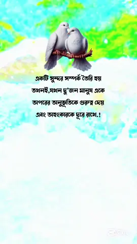 ❤️‍🩹🌿#foryou #foryoupage #tending #video #bdtiktokofficial 