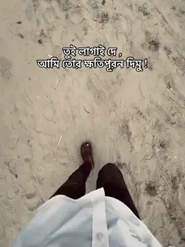 তুই লাগাই দে..!   আমি ক্ষতিপূরণ দিমু...!  বন্ধুত...!🙃🙃