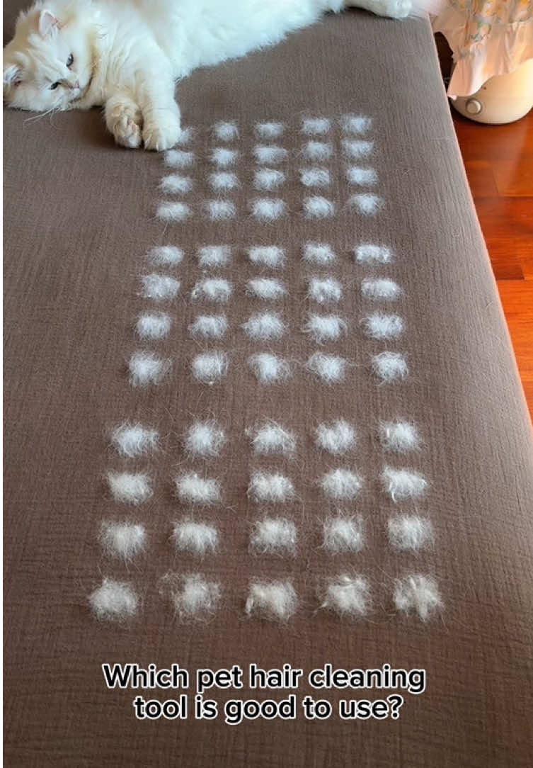 The most authentic review of pet hair brushes👏🏻#tiktokshop #PetsOfTikTok #pethairremoval #petproducts #catsoftiktok 