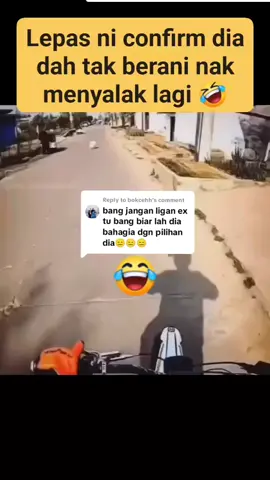 Replying to @bokcehh Kita ligan anjing pulakkkkk...🤣 
