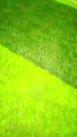 ##foryou 