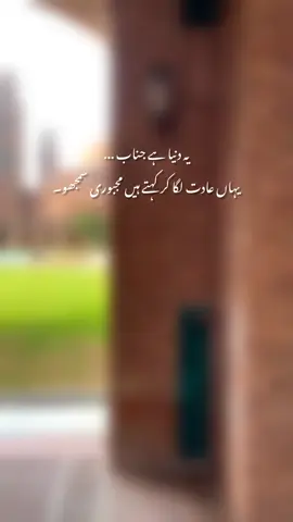 💔🥺#fypジ #urdupoetry #unfreezemyacount #tiktokteamviralmyvideo 