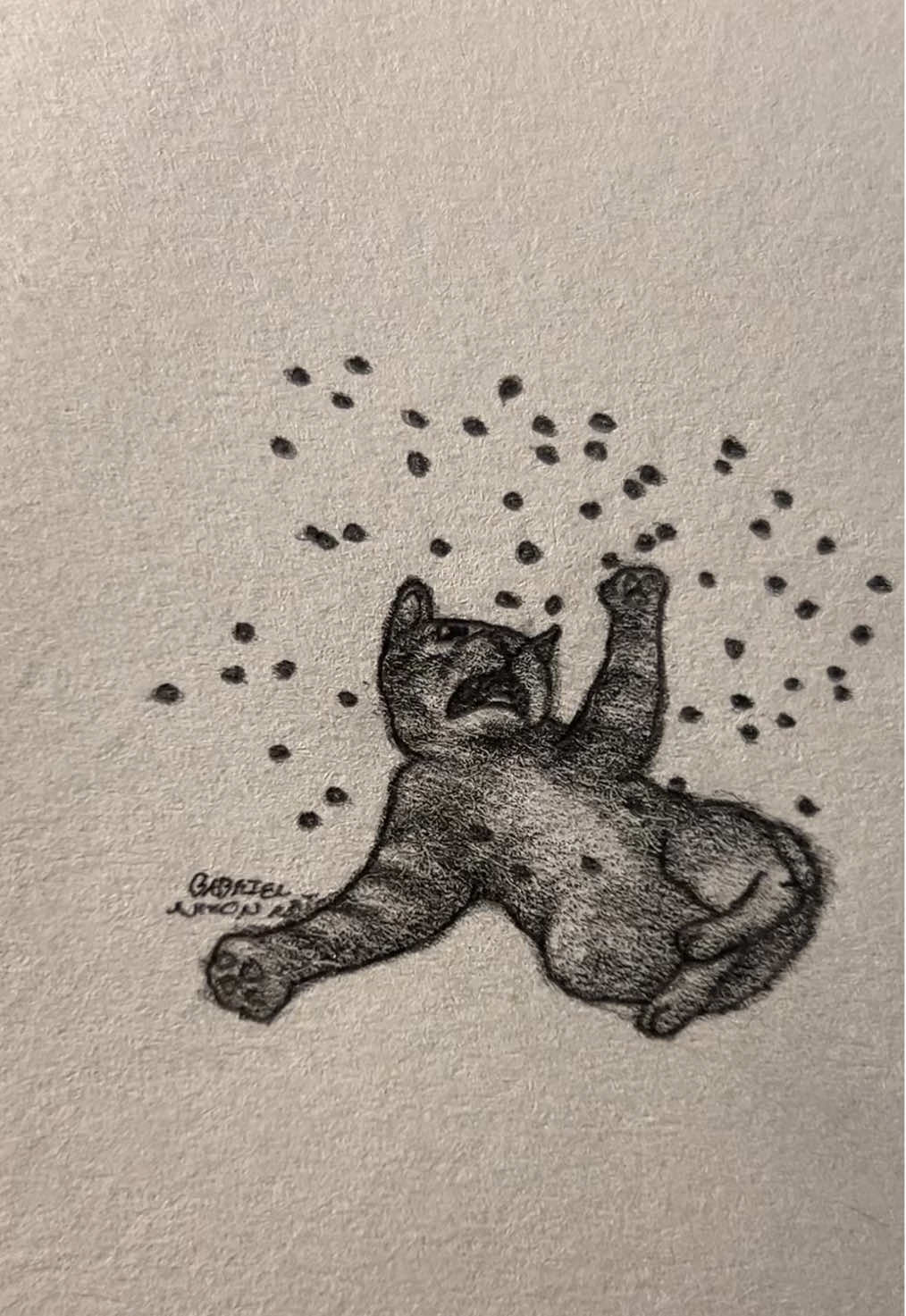 Acid rain😭💔     Credit- catsbeingcats/IG     #fyp #art #cat #linkinpark #foryouuuuuuuuuuuuu 