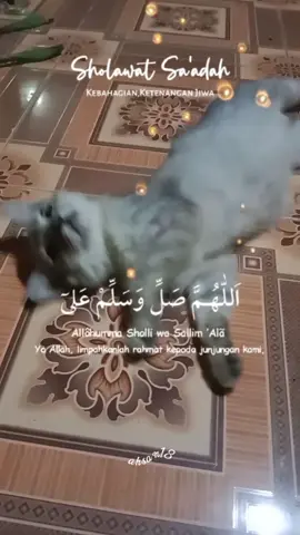 Bersolawatlah sebanyak-banyaknya Allahumma shoolli ala sayyidina muhammad..🥰 #maulidurrasul  #yarasulullah  #fypシ゚ 
