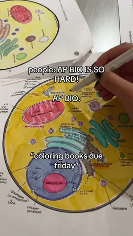 i am biologist 🧫👩‍🔬🧬🧪🔬