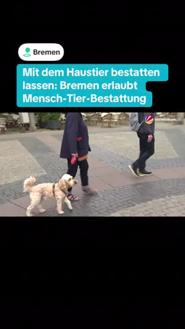Die Bremische Bürgerschaft hat eine Neuerung im Bestattungsgesetz verabschiedet: Menschen dürfen sich künftig gemeinsam mit ihrem eingeäscherten Haustier auf städtischen Friedhöfen bestatten lassen. Dabei müssen einige Voraussetzungen erfüllt und Regeln beachtet werden. #bremen #bestattung #gesetz #mensch #tier  