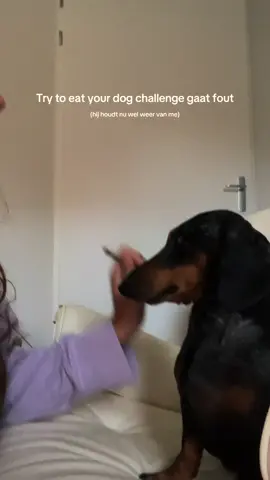 voelde me echt heel schuldig #karel #teckel #dachshund #dogsoftiktok #fyp 