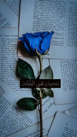 #عمياء_هي_الثقه_ولكن_حين_تبصح 👌🏻❤️‍🩹🥀