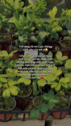 “Lớp diu🥰❤️” #suyymottchut #viral #fyp 