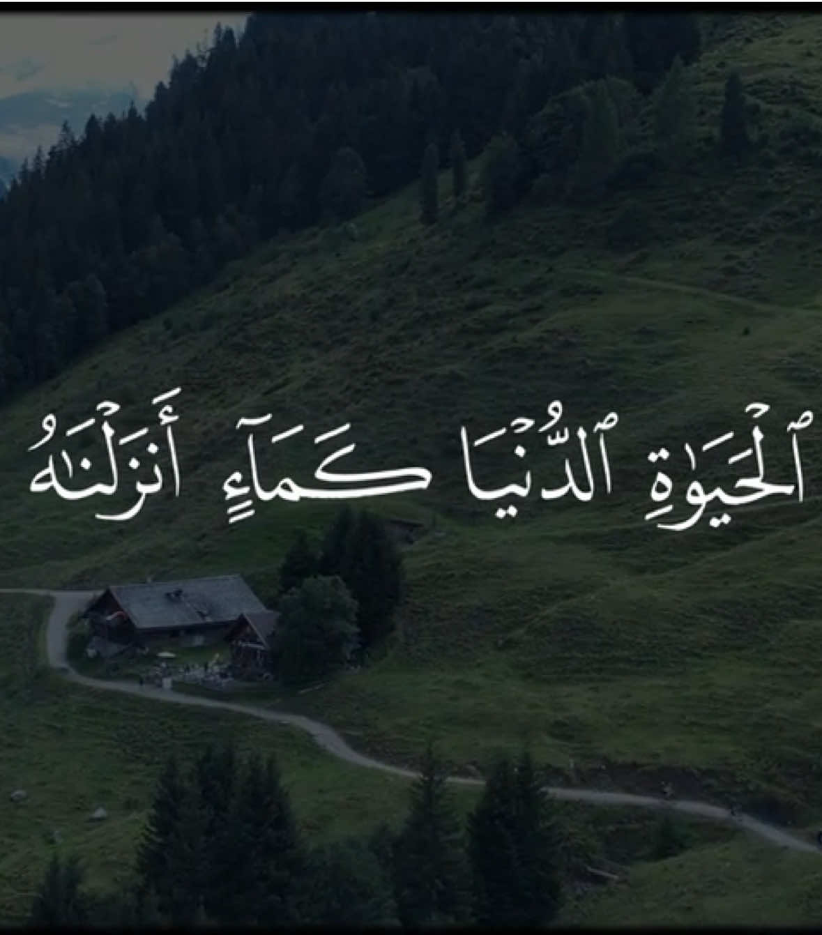 جزء 24 