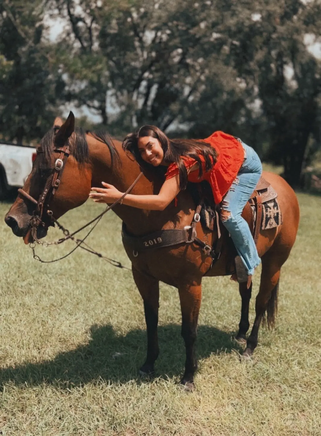 #fypシ #healing #girlandherhorse #country 