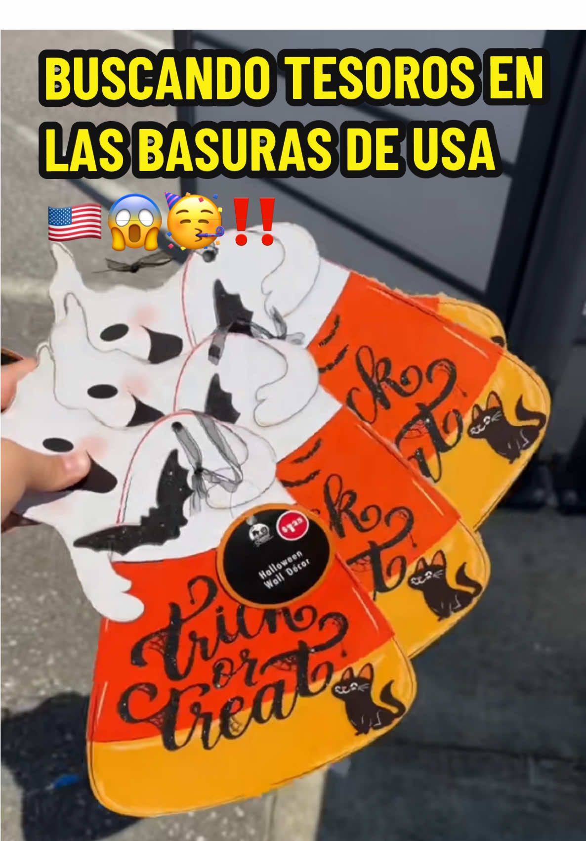 Hola chicos✨ Miren los tesoros que me encontré en las basuras de USA🇺🇸😱‼️un monton de decoraciones de Halloween y unas sodas que todavía estaban frias🥳👏🏼🎉 #tesorosencontrados #meldidumpsterdive #dumpsterdiver #usa #buscandoenlabasura 
