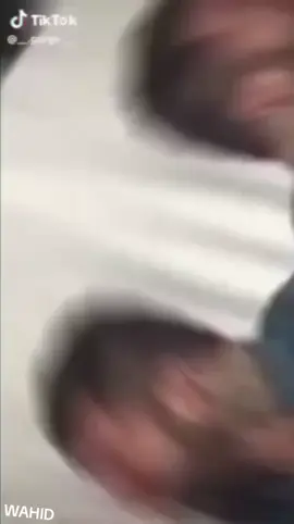 اقا- وحيد-مرادي-البطل -وحش-ايران -نسر-عقاب روحت-شاد -زعيم-مافيا -الوحش المصمم 🦅🔥