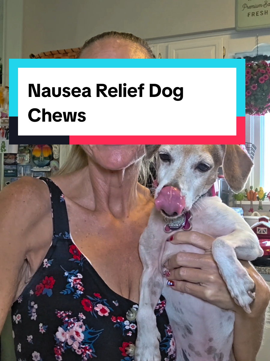 Travel Chews Nausea Relief for Dogs. Anti-Nausea & Anxiety Support. @Clean Nutra #petproducts #dogsupplements #dogtreats #dogproducts #dogcare 