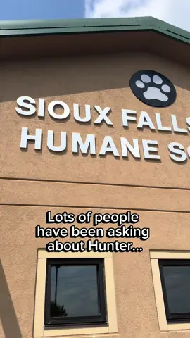 Let’s talk about Hunter…