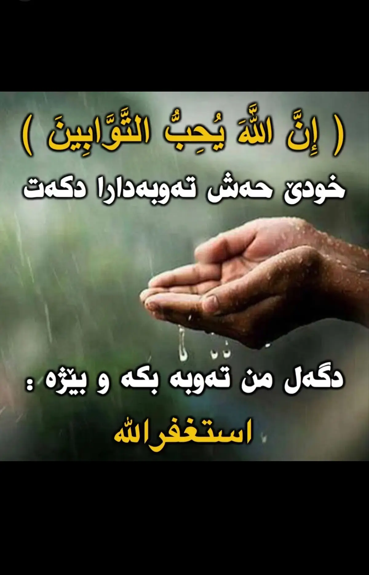 #إن_الله_يحب_التوابين☘ #استغفر_الله #خودى_حەش_تەوبەدارا_کەت 