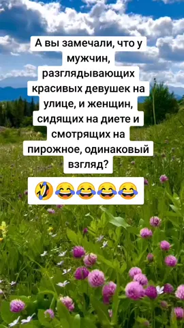 #шутка #идеальныймир #анекдот 