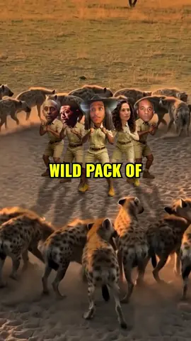 I’m taking Draymond Green cause I know he’ll just start throwing 💀 #hyena #wild #NBA #basketball #game 