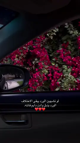 لو تشبهين الورد يبقى الاختلاف الورد يذبل وانتِ دايم فاتنه.#حب #ترند #عبارات #خواطر #اكسبلور 