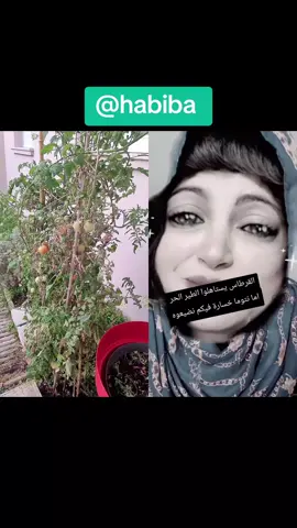 #duo avec @maymouna #VoiceEffects #france🇫🇷 #marocaine🇲🇦 @khadijabantlblad @maymouna 