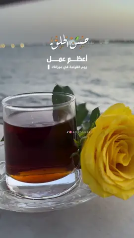 ⁨	اعظم عمل يوم القيامة ليس حجك وليس صيامك اثقل مايثقل الموازين يوم القيامة حسن الخلق . #مساء_الخير #حسن_الخلق #الاخلاق⁩