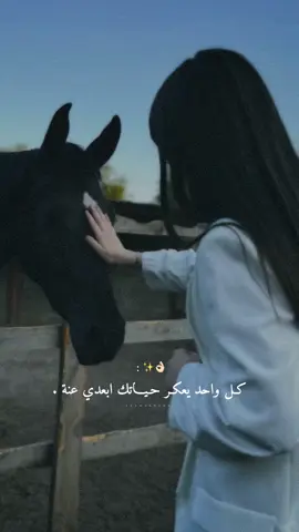 من ارادني فليكن تحت شروط سعادتي.👌🏻🙂‍↔️✨#راشديةمطنوخة #خيل_وخياله🐎 #capcut #foryou #viralvide 