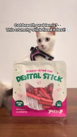 @Petsup No more stinky kitty kisses 🐱💋 These dental sticks are chicken + cranberry = tasty & tooth-friendly! ✨  link. #petsup #CatCare #PetTok #dentalsticks #catph 