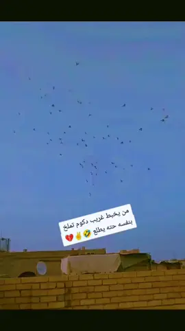 #لعيونكم_حبايب_قلبي♡🧤🙋 #رائيكم_يهمني #فلوجه_ابن_الانبار #مصنع_الرجآل #ضيفوني 
