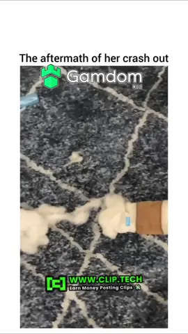 #fyp #funny #dog #dogsoftiktok #dogs 