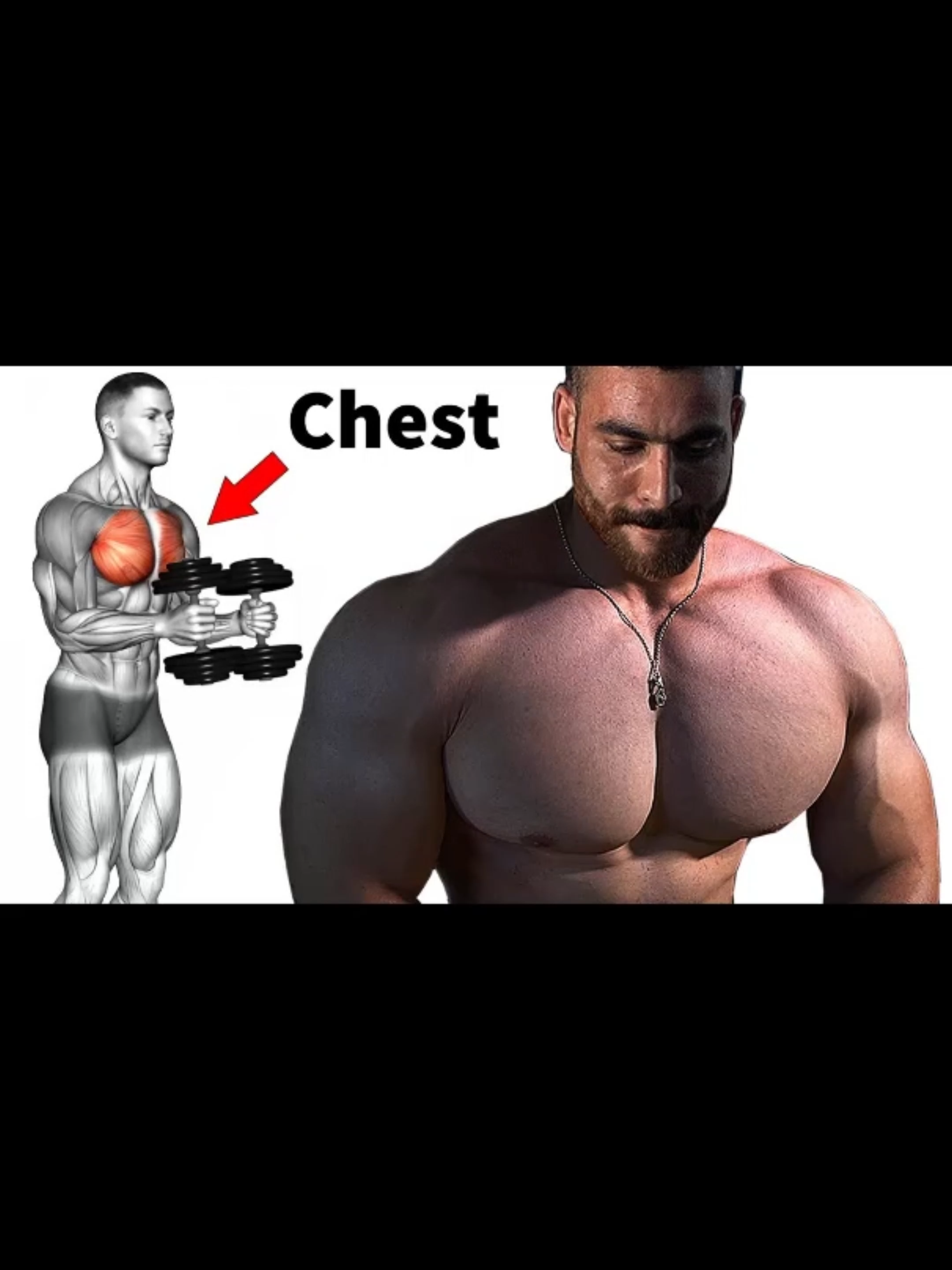 Add these to your next Chest workout💪🏽 #exercise #Fitness #gym #GymTok #workout #muscle #musculation #homeworkout #Chest #Chestworkout