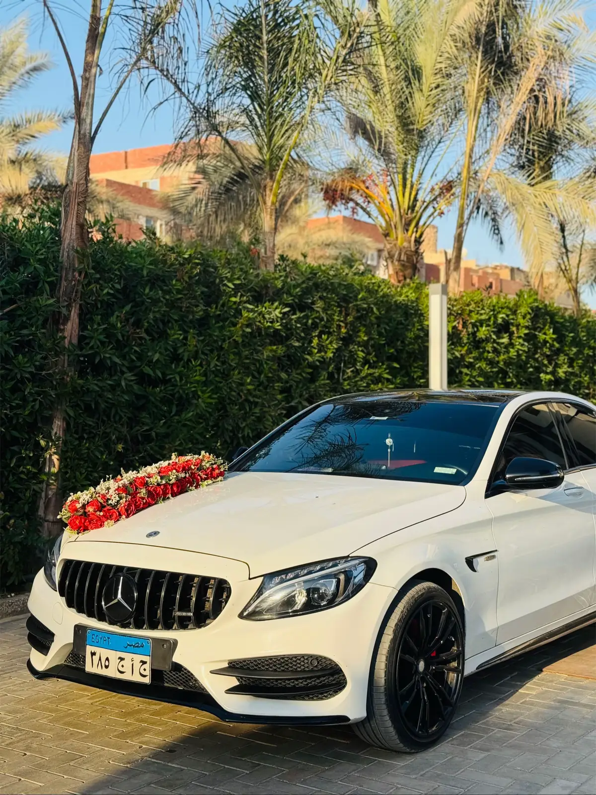 #شبين_الكوم_بلدنا🌎🔥 #mercedes #الشعب_الصيني_ماله_حل😂😂 #طرق_مصر_بقت_عالمية🇪🇬 #f30 