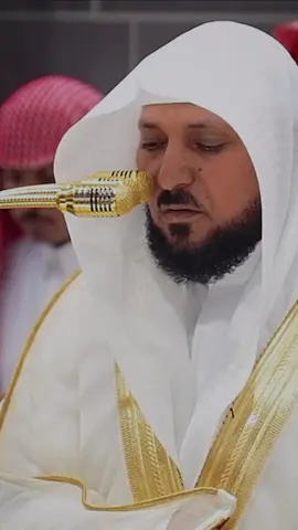 #ماهر_المعيقلي #سورة_القيامة #تلاوة_خاشعة #قران_كريم #islamic_video 