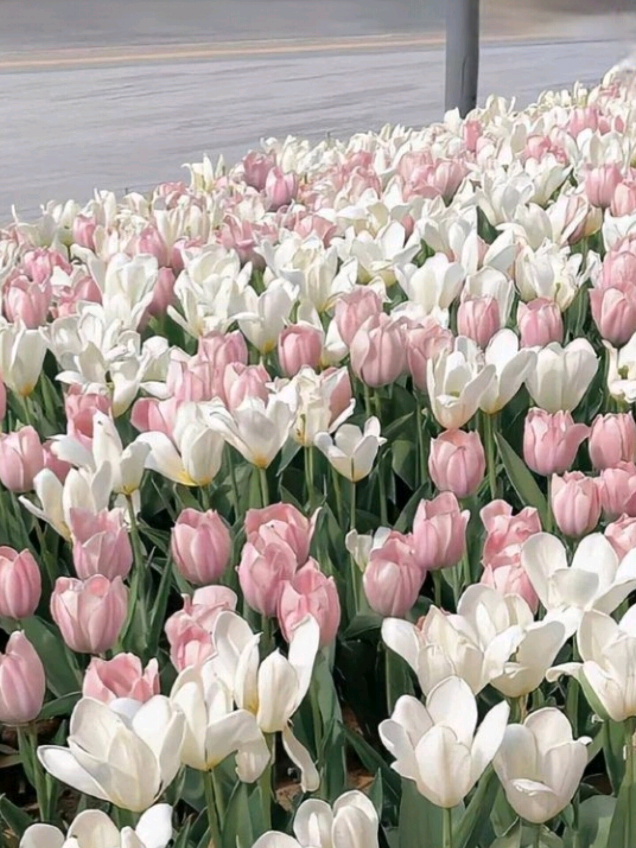 نفحات🌿@علاء المهدوي @علاء المهدوي للرد العلمي  .  .  .  .  .  ..  @ميمون المهدوي @منصة الـِـضامن @منصة البرهان @منصة البرهان 2 @حيدر علي @أحمد المهدوي #اكسبلور #كمل_الفيديو_للاخير #Home #foryou #اكسبلورررررررررررررررررررر💥🌟💥🌟💥💥🌟🌟🌟🌟🌟 নমস্কারনমস্কারনমস্কারনমস্কারনমস্কারনমস্কারনমস্কারনমস্কারনমস্কারনমস্কারনমস্কারনমস্কারনমস্কারনমস্কারনমস্কারননমস্কারনমস্কারনমস্কারনমস্কারনমস্কারনমস্কারনমস্কারনমস্কারনমস্কারনমস্কারনমস্কারনমস্কারনমস্কারনমস্কারনমস্কারননমস্কারনমস্কারনমস্কারনমস্কারনমস্কারনমস্কারনমস্কারনমস্কারনমস্কারনমস্কারনমস্কারনমস্কারনমস্কারনমস্কারনমস্কারন