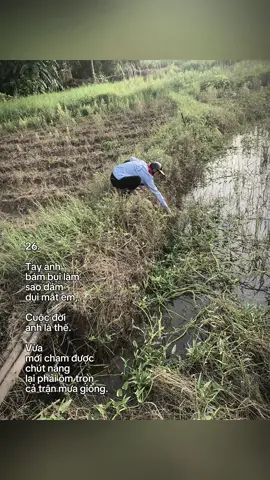 #Xuhuong 