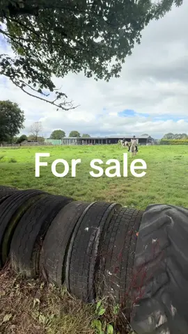 #boskillequestrian #horses #horseridinglessonslimerick #everyone #horsesforrent 