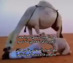 #you #قصايد #شيلات #the 