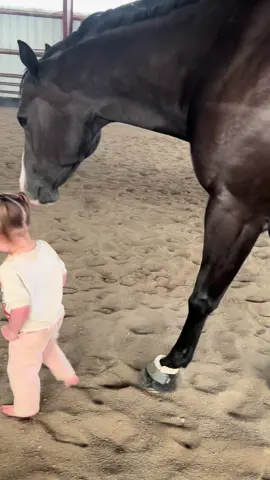 Sweet Mani boy. He can be the biggest turd sometimes but with this girl he is so calm and sweet. He is her Home 💙 #fyp #viral #horsesontiktok #Love #grateful 
