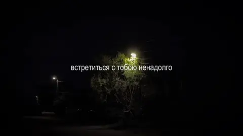 автостопом по фазе сна – нет!нет!нет!нет!нет!нет!нет!нет! #апфс #максимфисенко #кишлак #lyric #fyp 