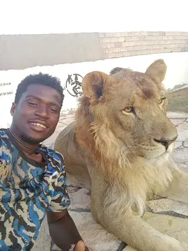 toujours bien fait 