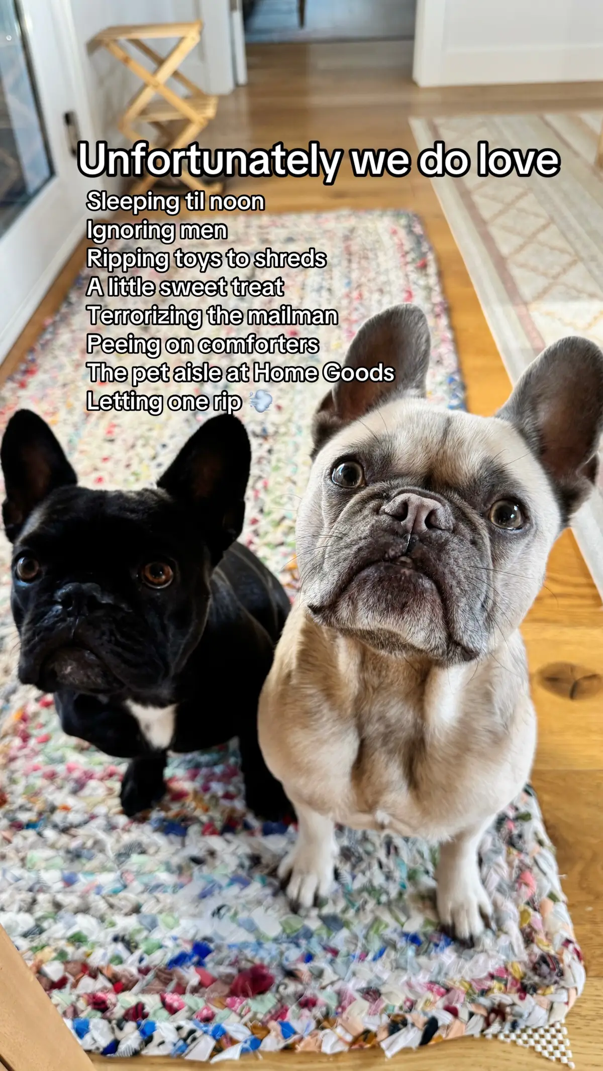 #unfortunatelyidolove #trend #fyp #dogtok #frenchbulldog 