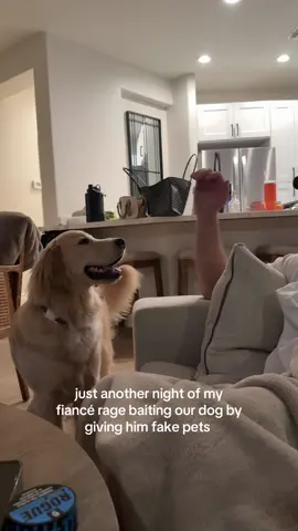 it takes him a while to realize 😭 #puppy #funnydog #goldenretriever #reaction #ragebait 