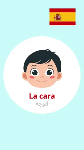 Partes de la cara en Español🇪🇸? reconoces la ultima foto, escribe la en los Comentarios🤭👇 #اسبانيا🇪🇸_ايطاليا🇮🇹_البرتغال🇵🇹 #المغرب🇲🇦تونس🇹🇳الجزائر🇩🇿 #parati  #تعلم_على_التيك_توك  #españa🇪🇸 