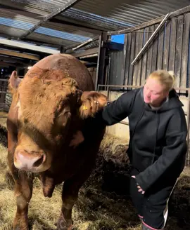 These nails just aren’t good enough for big fella  #fyp #foryou #bigfella #biglad #bigbull 