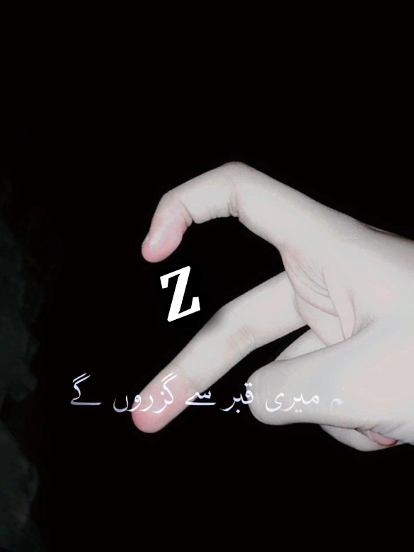 @Z Lifeline🫀❤️ #zname #foryou #foryoupage #fyp #a❤️z 
