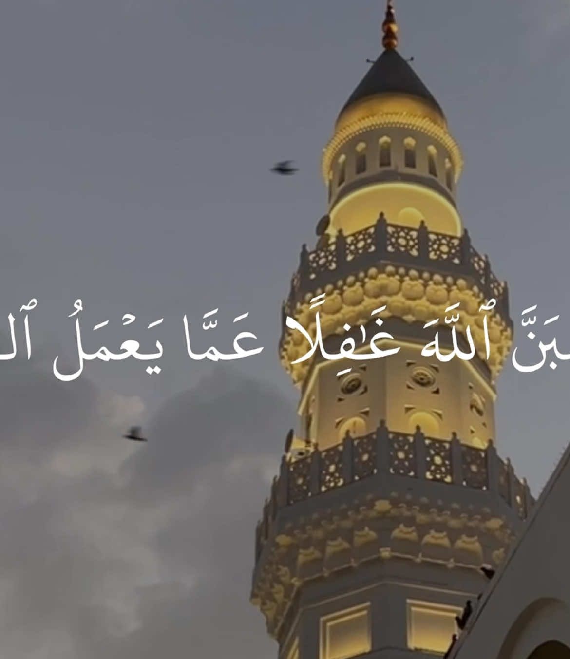 وَلَا تَحۡسَبَنَّ ٱللَّهَ غَٰفِلًا عَمَّا يَعۡمَلُ ٱلظَّٰلِمُونَۚ إِنَّمَا يُؤَخِّرُهُمۡ لِيَوۡمٖ تَشۡخَصُ فِيهِ ٱلۡأَبۡصَٰرُ#بندر_بليلة #سورة_ابراهيم #quran_alkarim #ayaatquran_1 #آيات 