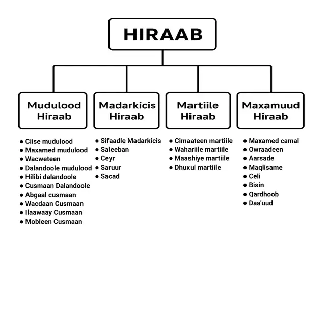 afarta ilmo hiraab #martiilehiraab💚💙🤍 #maxamuudhiraab #muduloodhirab #madarkicishiraab #foryoupageofficiall 