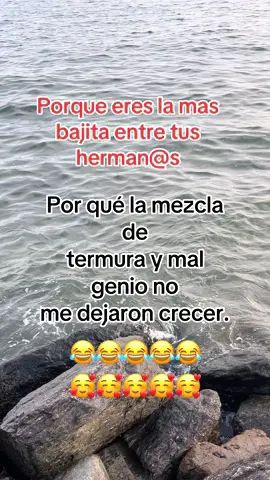 #umor #😂 